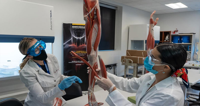 Human Anatomy Lab