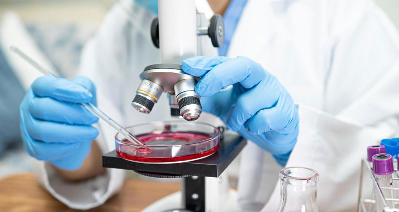Microbiology Lab
